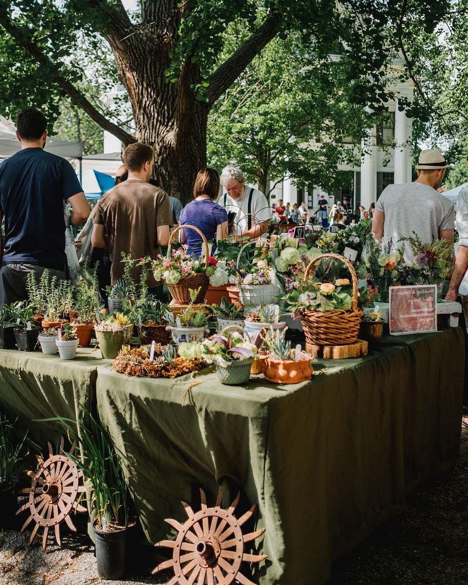person people beside assorted plants on table human