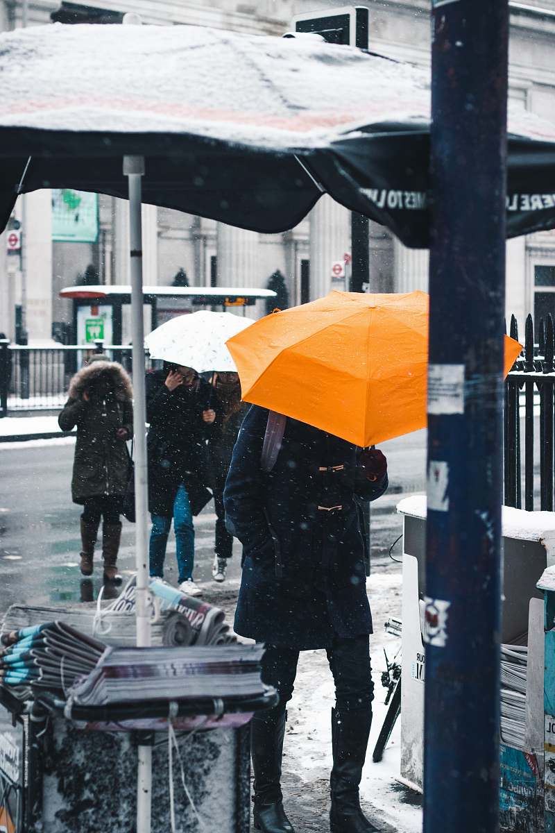 person people walking on road while raining umbrella