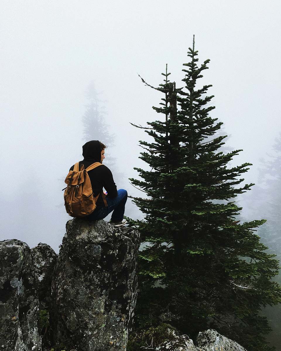 person person sitting on rock facing tree human
