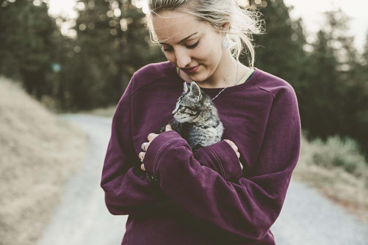 human selective focus photography of woman hugging gray kitten person