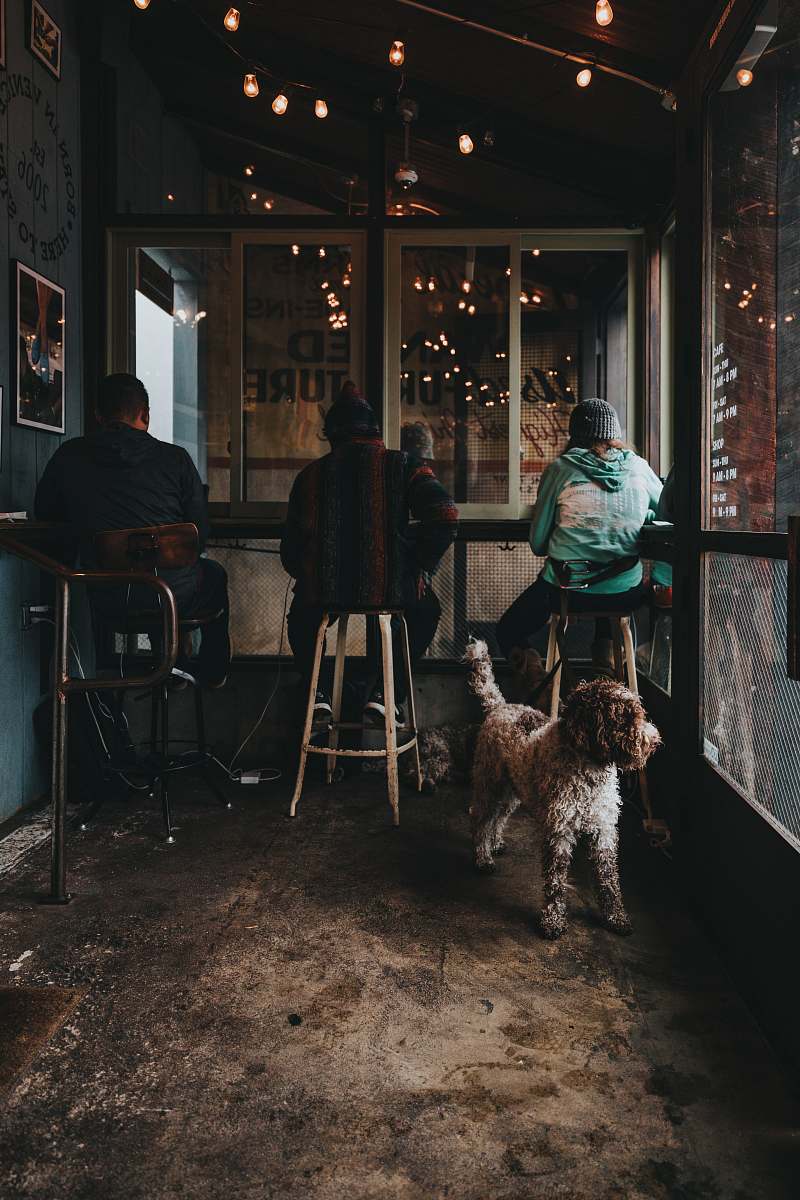 person three person sitting on brown wooden bar stools near table human