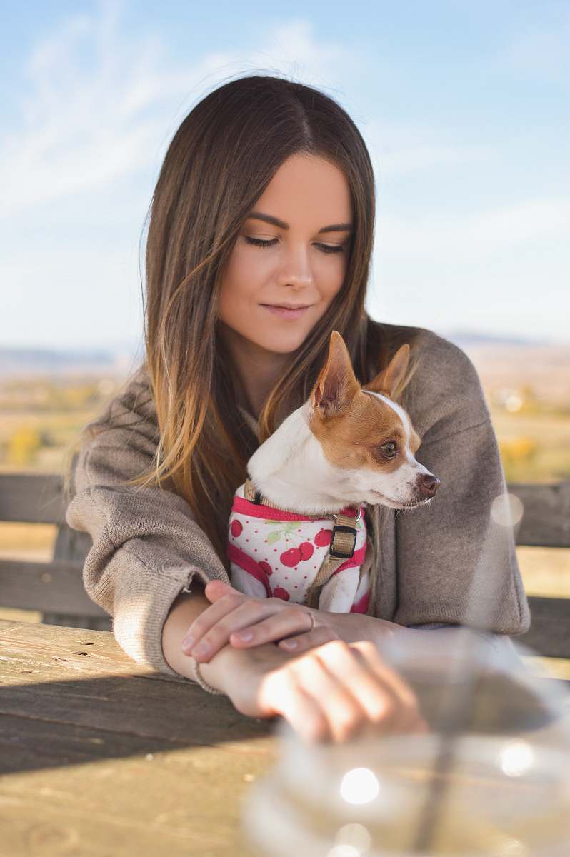 dog tilt-shift photography of woman behind short-coated white and brown puppy canine