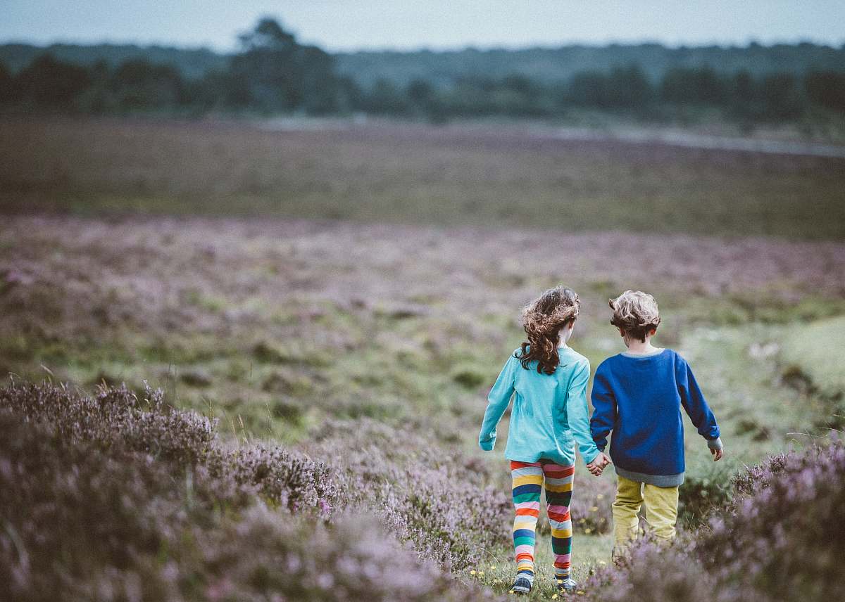 human two children holding hands while walking in the middle of the fields person