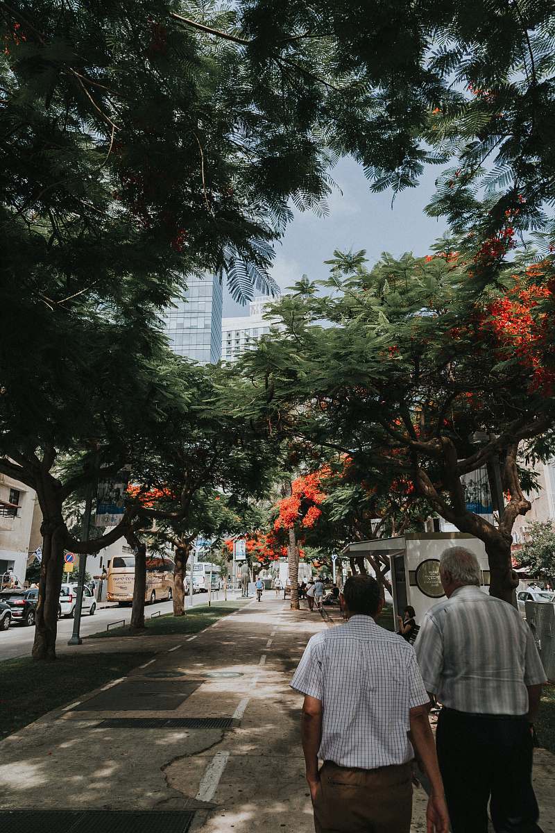 human two men walking on sidewalk person
