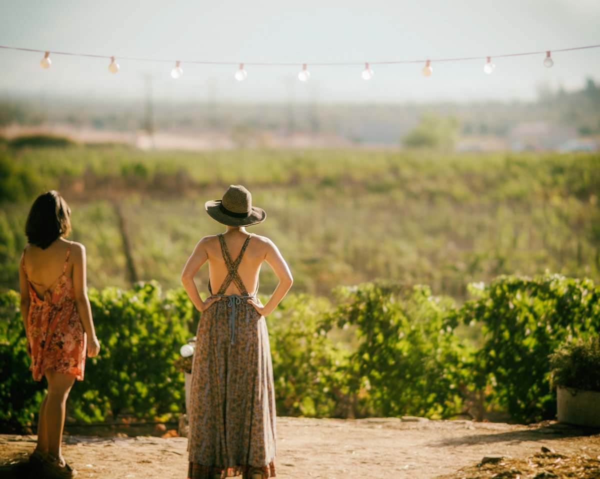human two women standing near green plants and string lights during daytime person