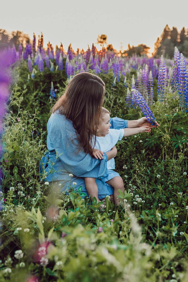 person woman sitting with baby on her lap surrounded with purples flower human