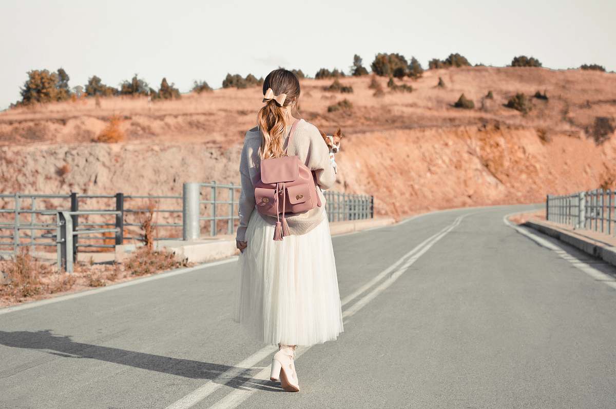 person woman walking on asphalt road while carrying brown and white dog human