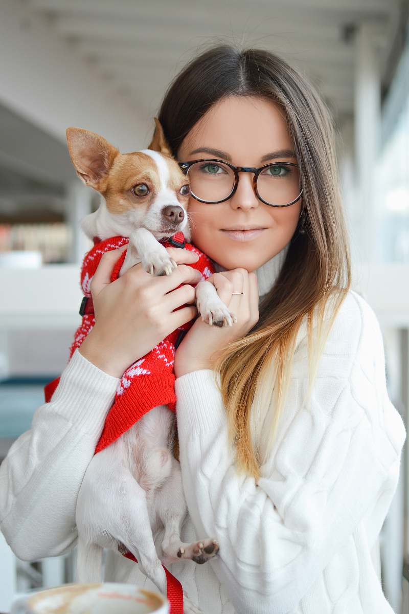 dog woman wearing sweater while cuddling Chihuahua pet