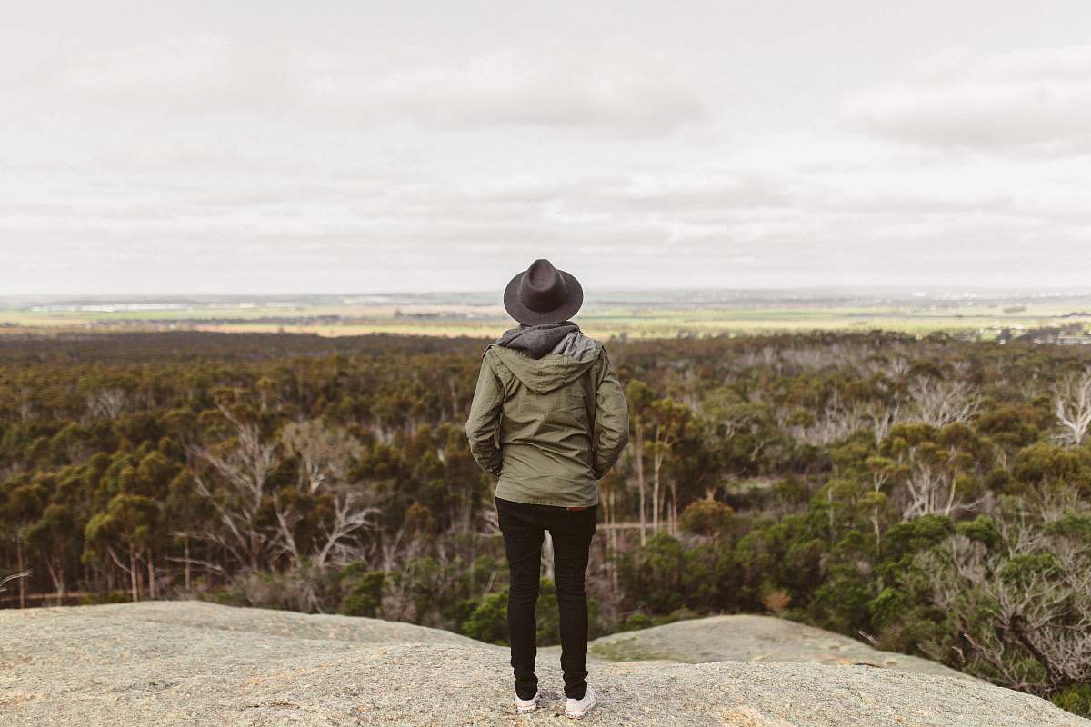 people man standing on mountain viewing forest human