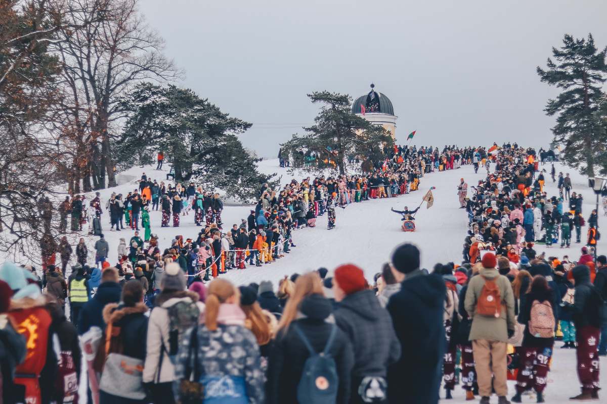 people people stands on snow and watches sled race during daytime crowd