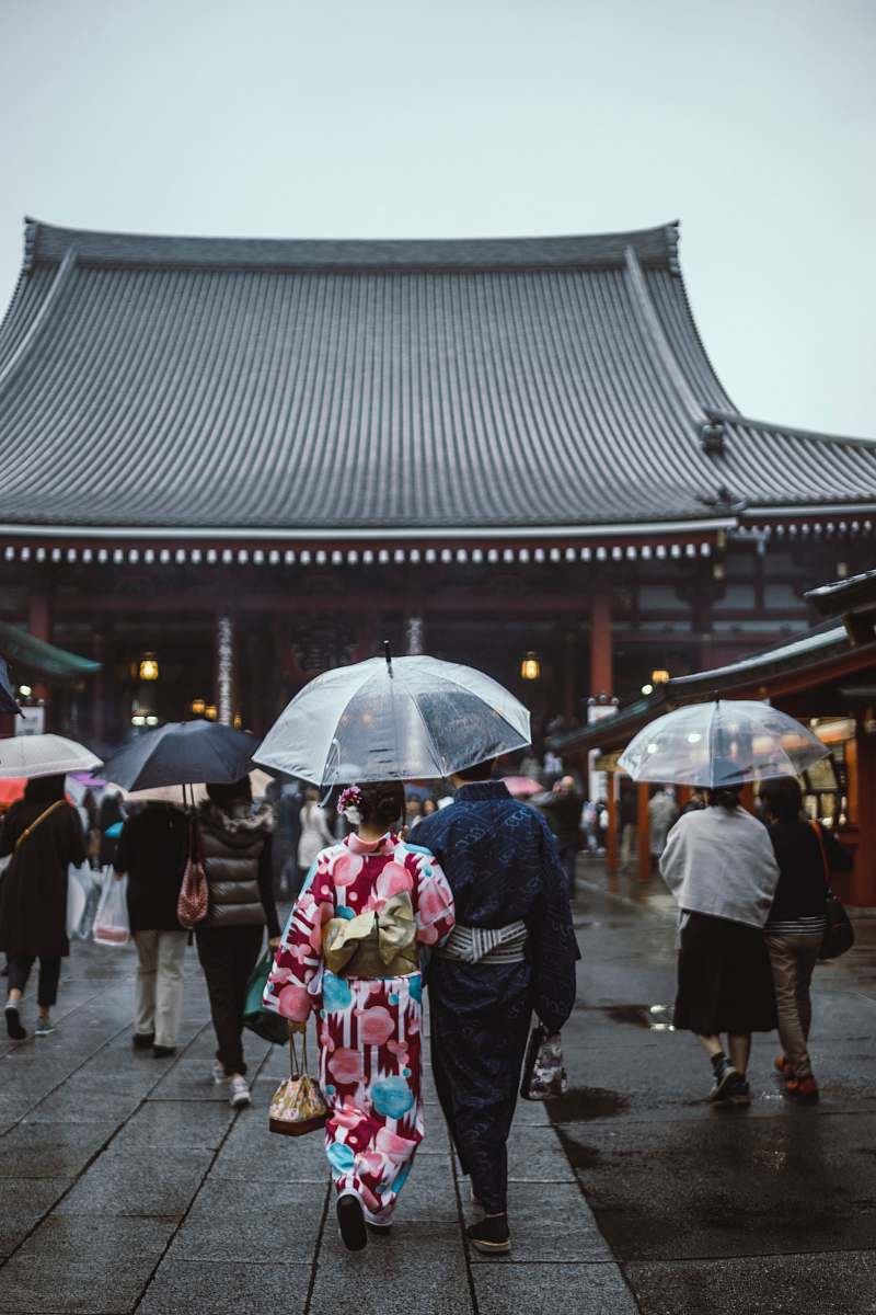 people people walking on street while holding umbrellas going to pagoda japan