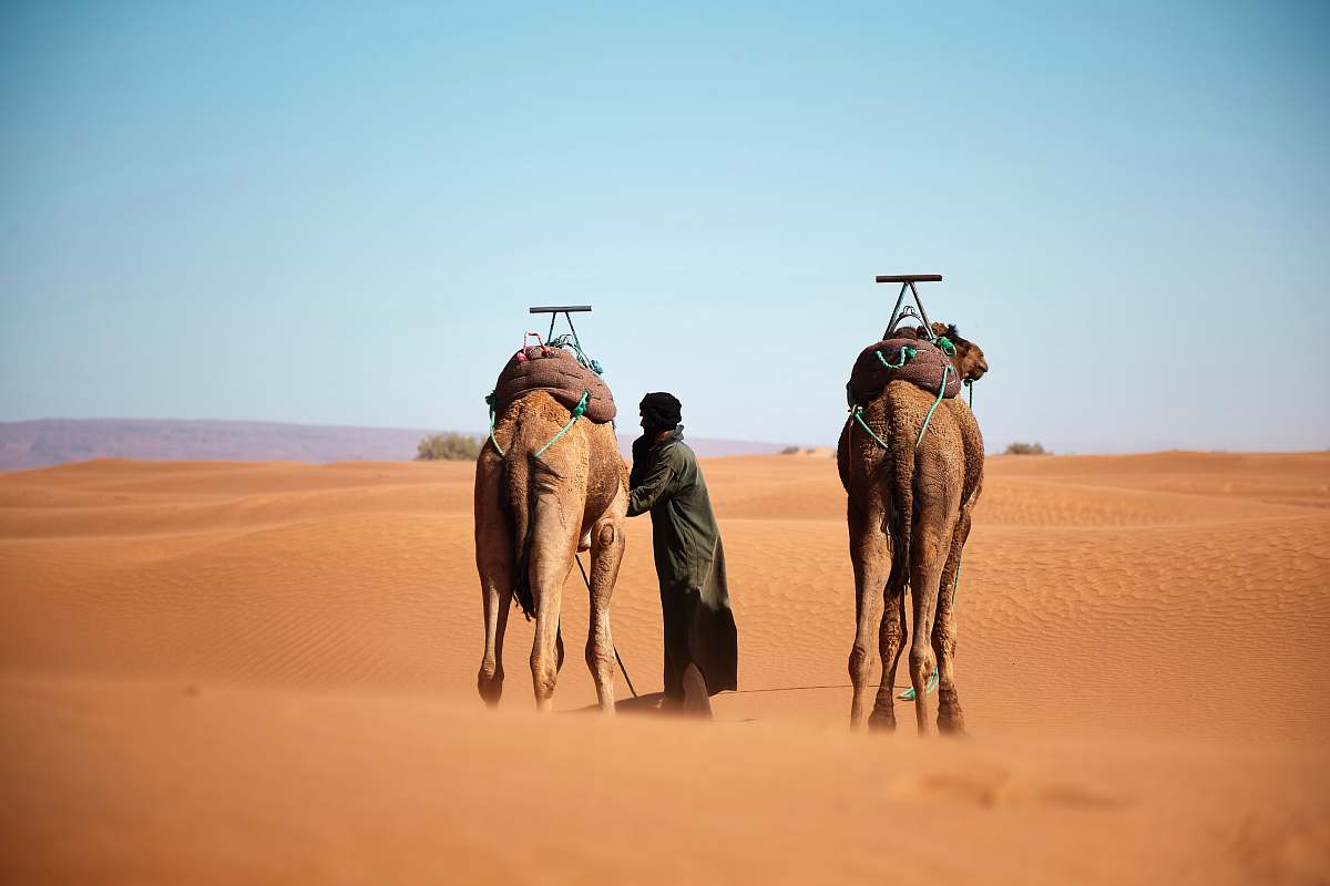 desert person walking with two camels on desert during daytime nature