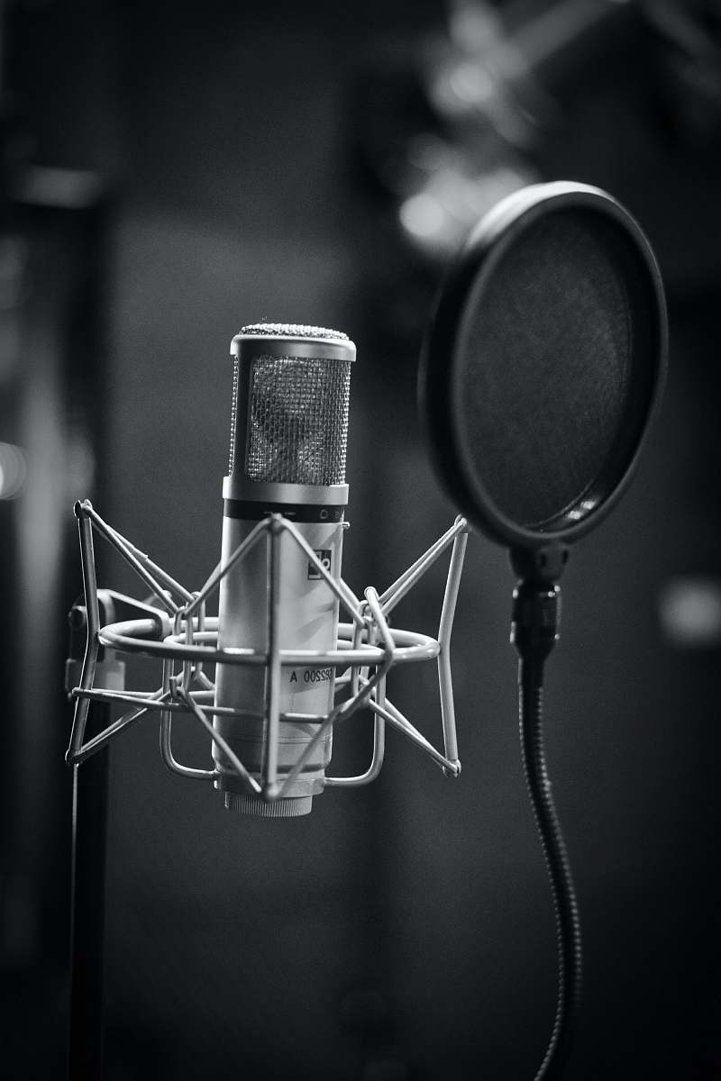 grey grayscale photo of condenser microphone beside pop filter microphone