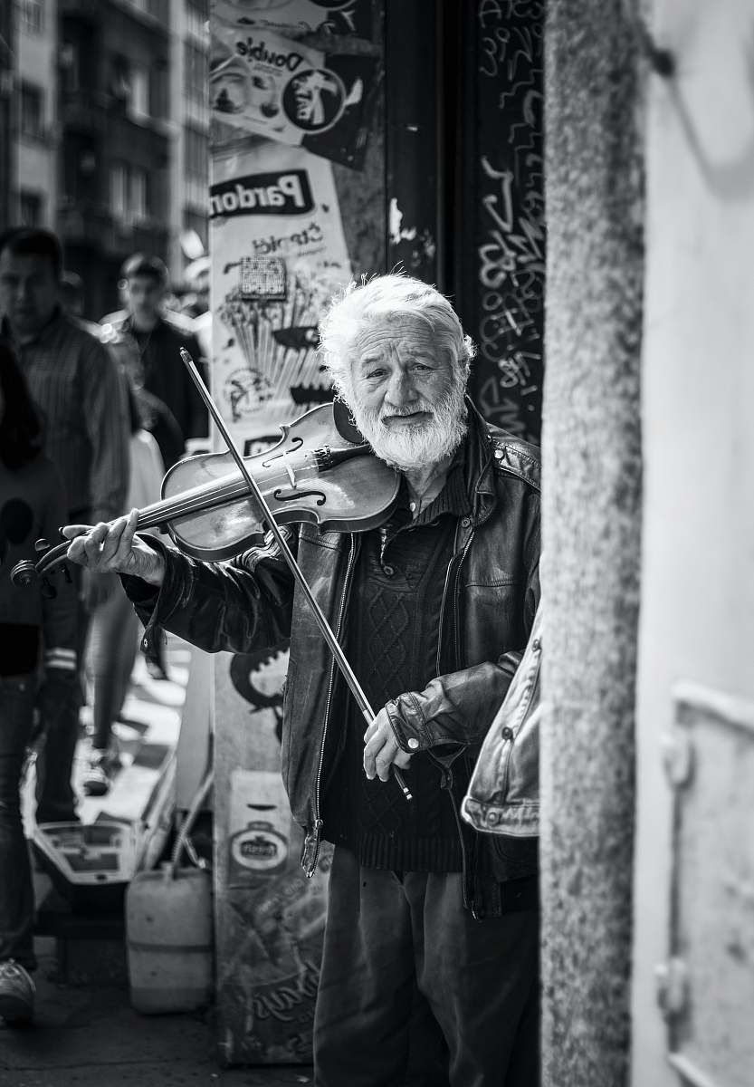 people man playing violin human