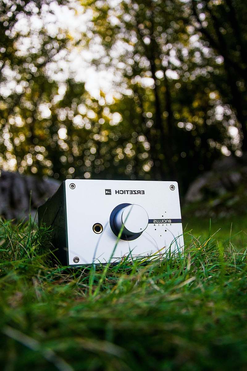 plant silver car stereo on green field grass