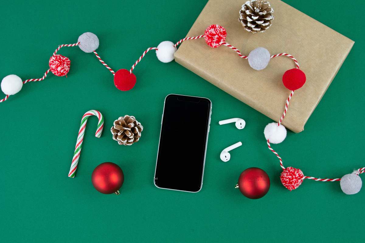 phone smartphone between pine cone and AirPods cell phone
