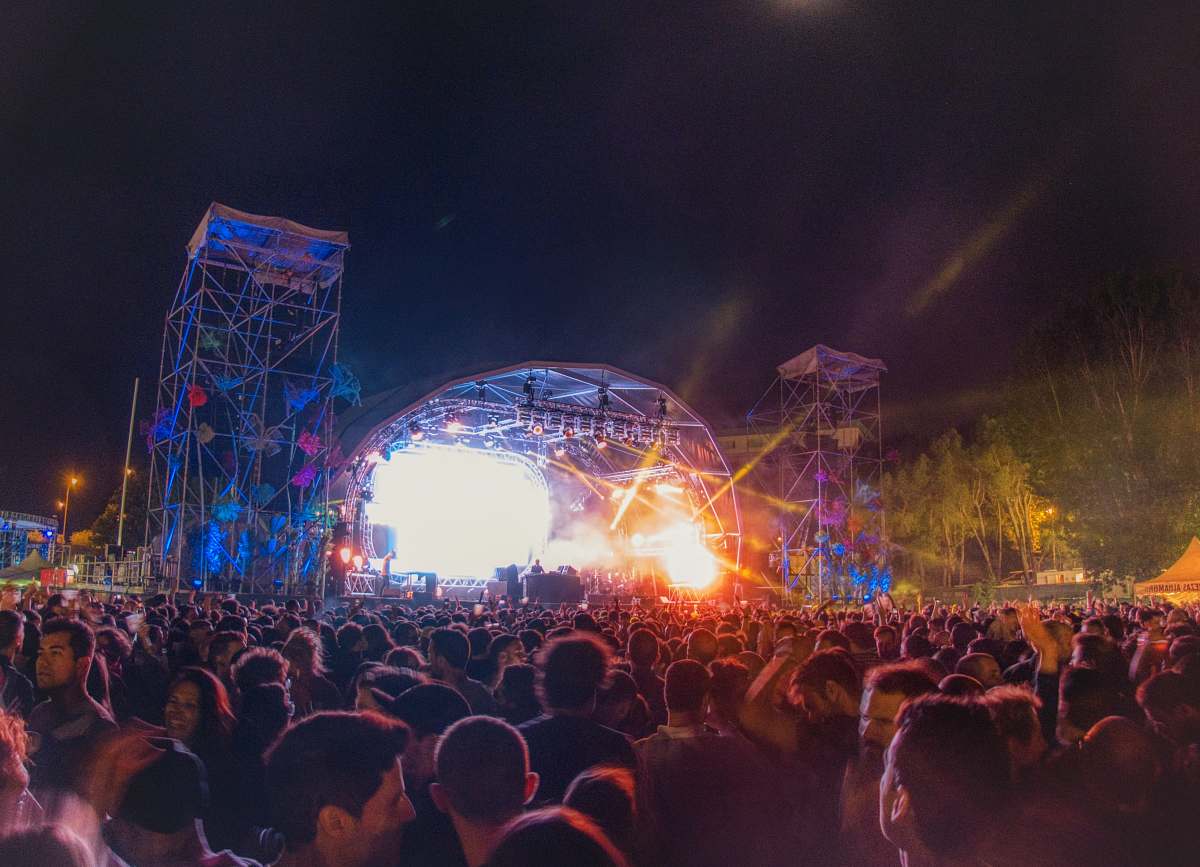person people on concert crowd