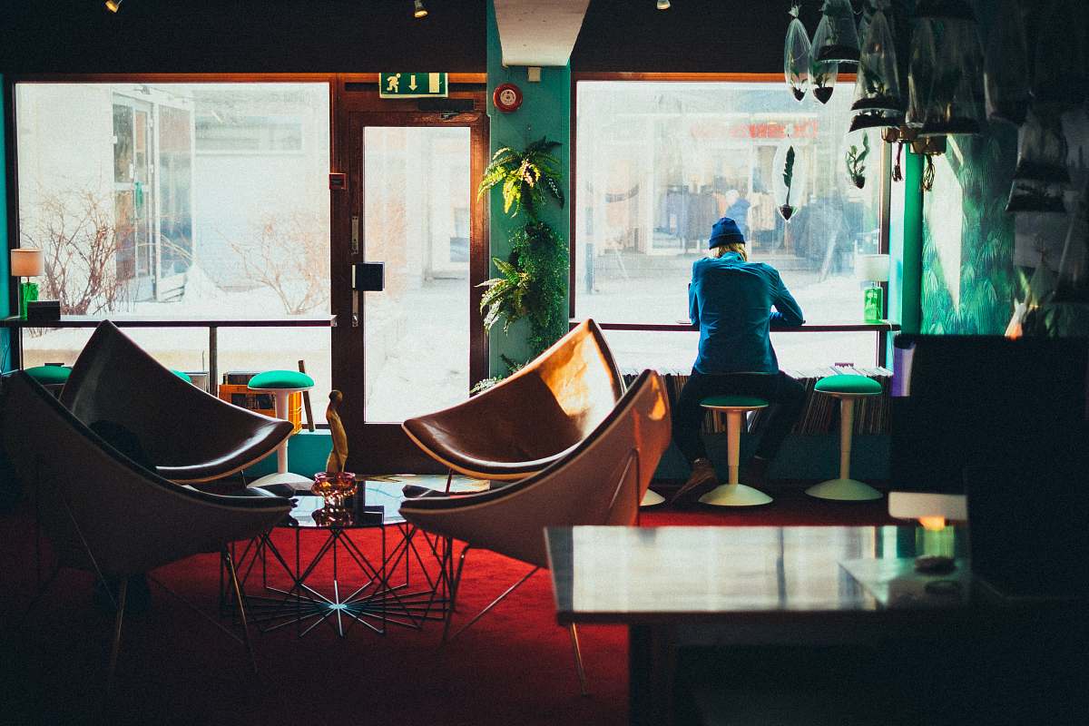person person sitting while facing window plant