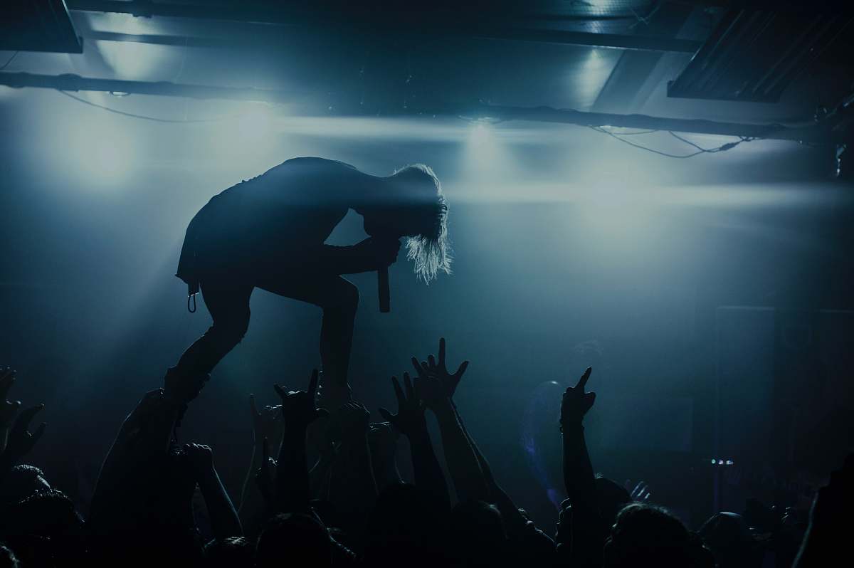 person silhouette of people in a concert crowd
