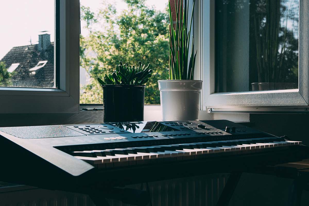 flora green plant with black and white ceramic potted near window plant