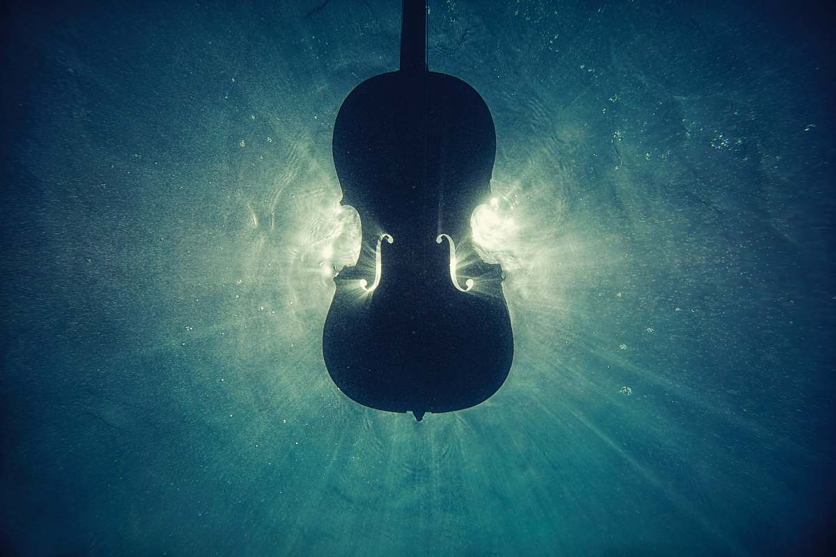 music black violin on underwater digital wallpaper silhouette