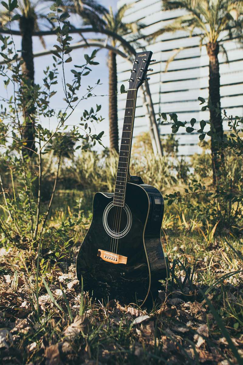 guitar black acoustic guitar on green grass electric guitar