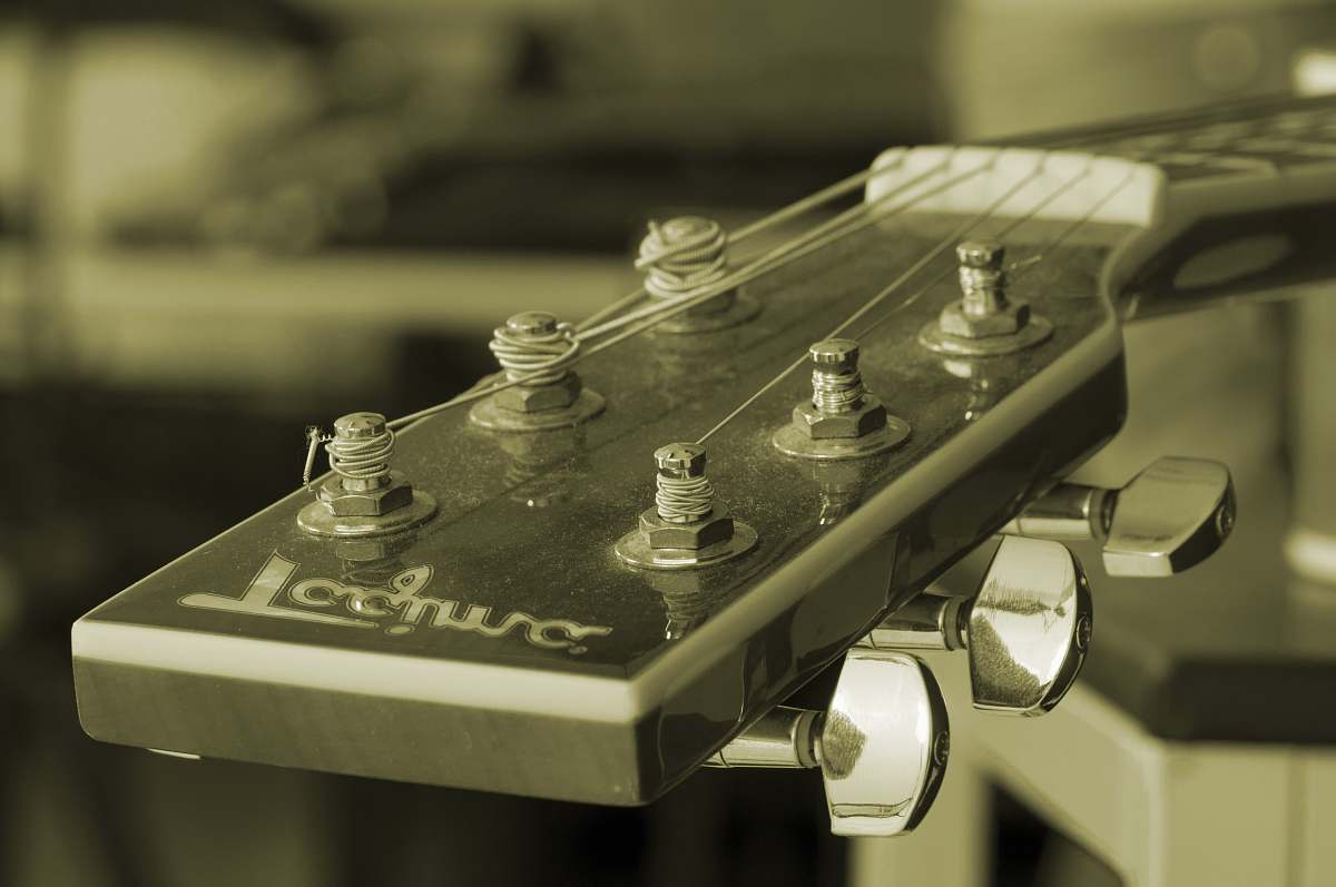 connector black Tagima guitar headstock electrical device