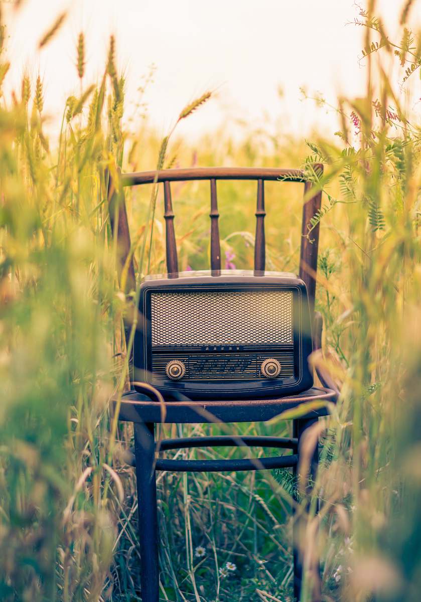 vintage black transistor radio in the middle of the field radio