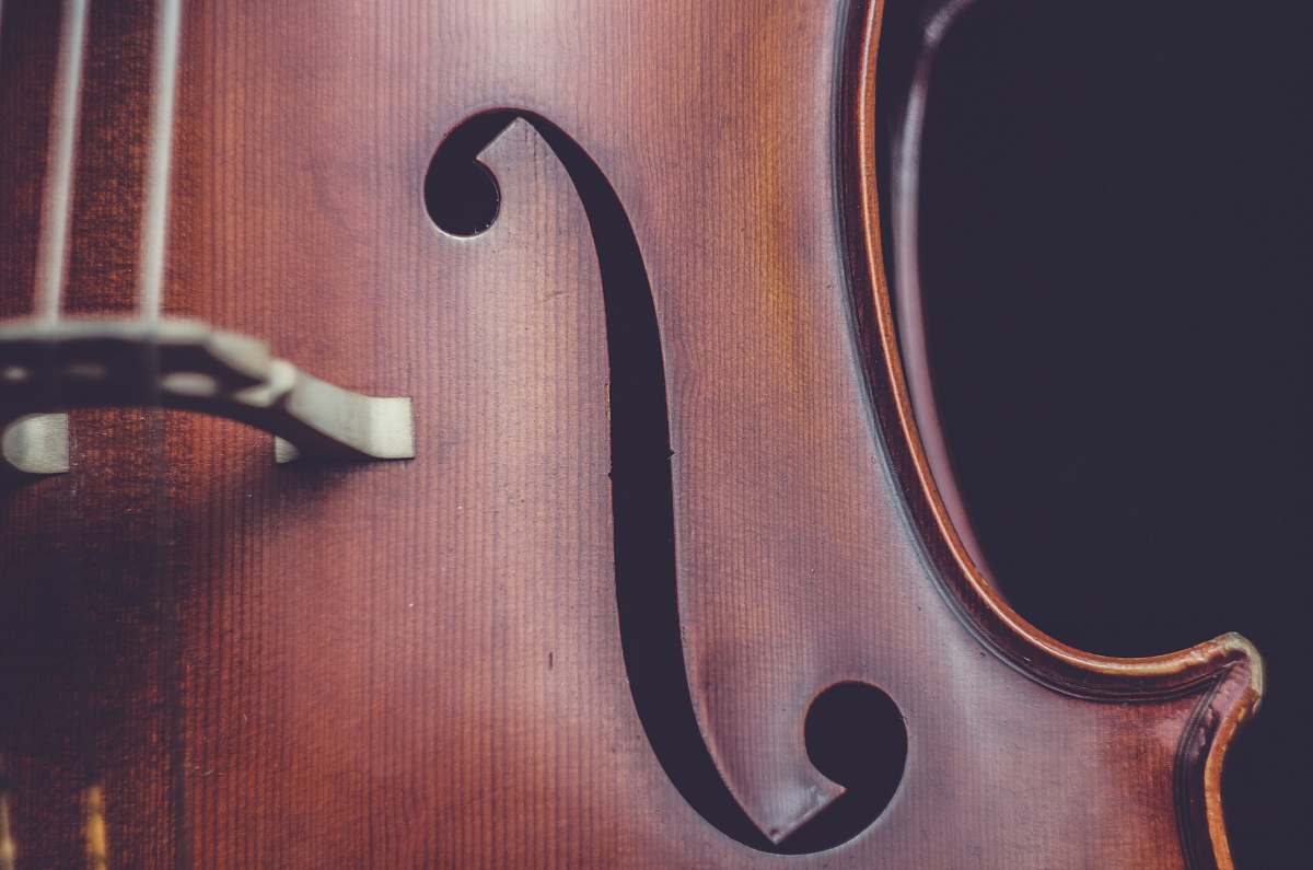 cello brown string instrument leisure activities
