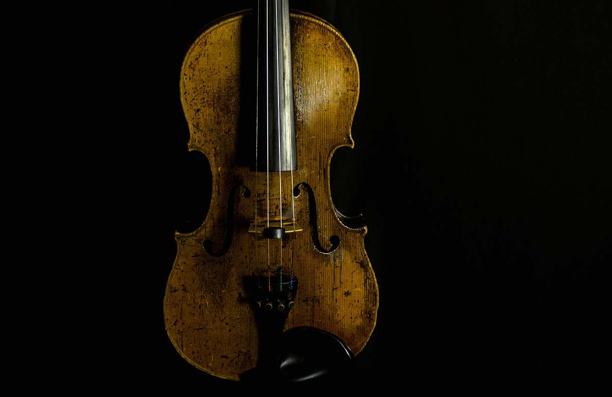 violin brown violin with black background fiddle