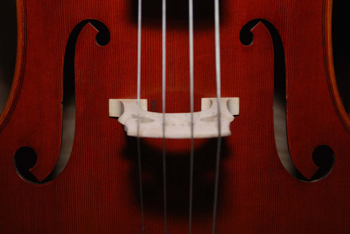 amarillo closeup photo of brown stringed instrument viola