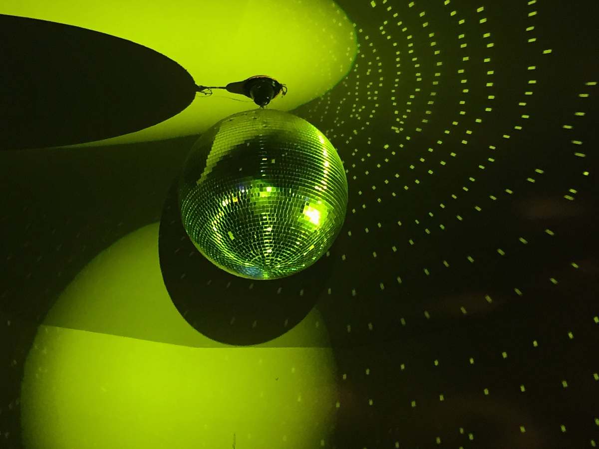 green green disco light friedenstraße 101