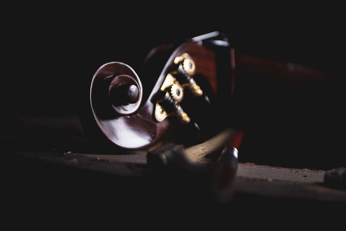 violin shallow focus photography of violin headstock instrument