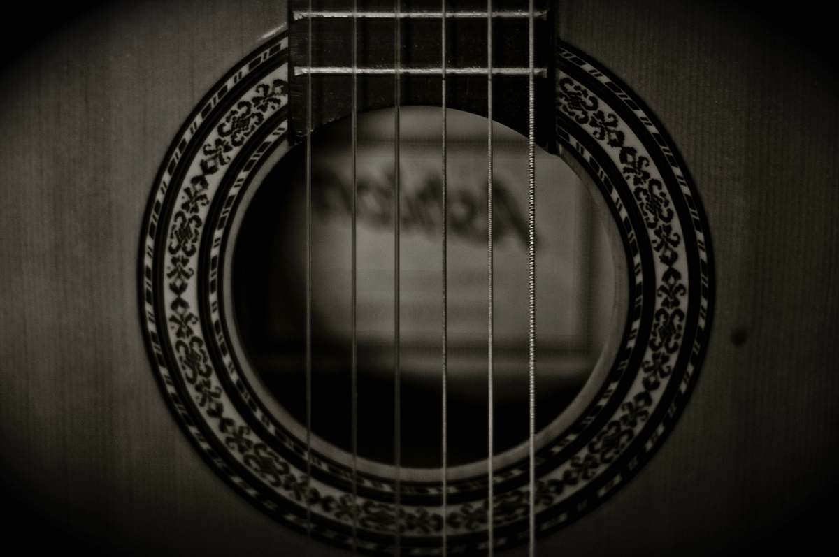 christchurch photo of grayscale guitar strings new zealand