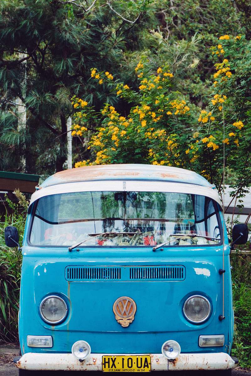 vehicle blue Volkswagen T3 in front of trees bus