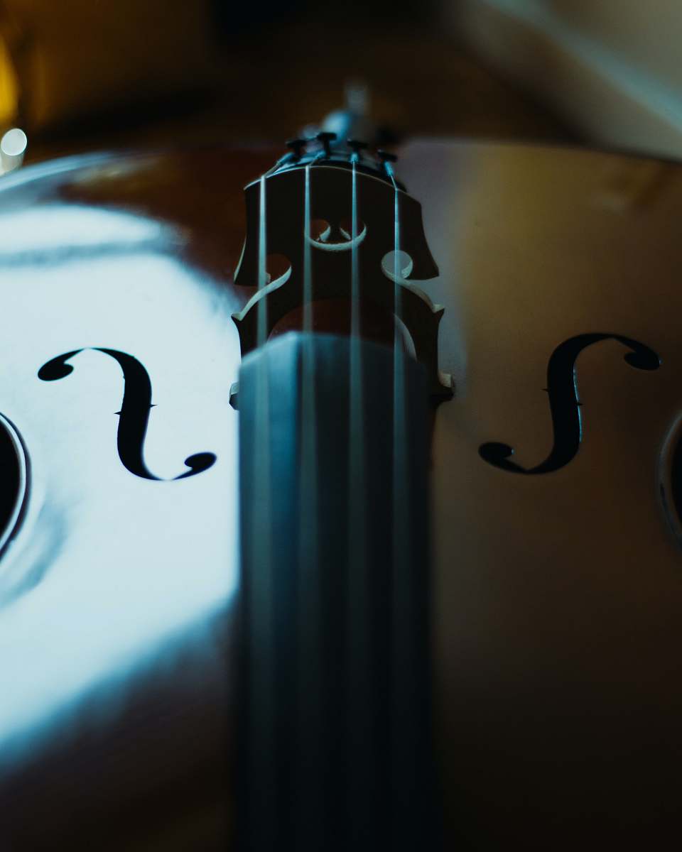 instrument brown violin on white table music