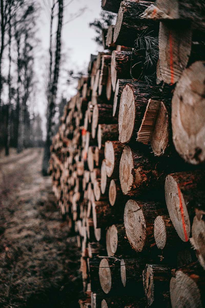 lumber pile of cut log lot burkat