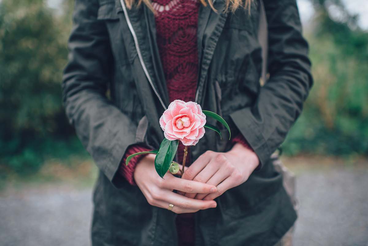 person woman holding pink rose standing near trees during daytime people