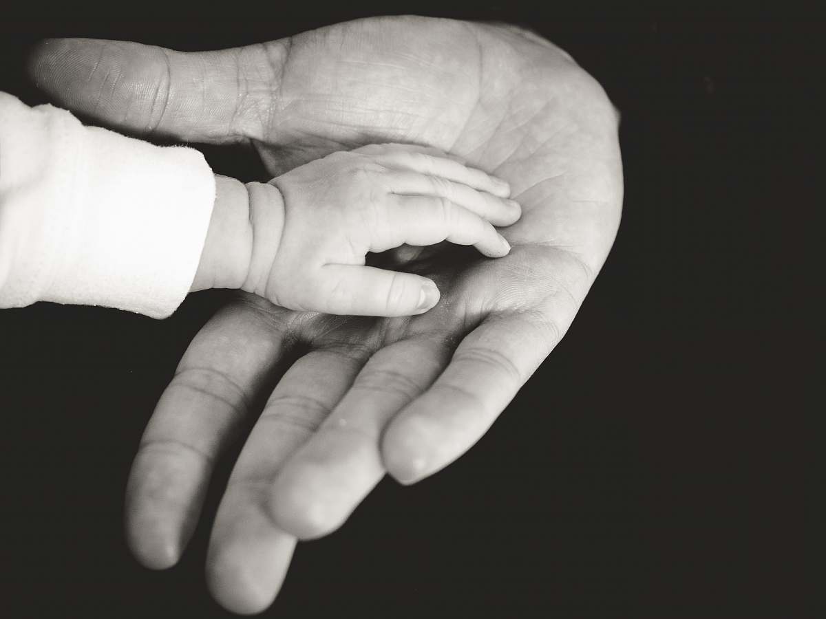 person child and parent hands photography hands