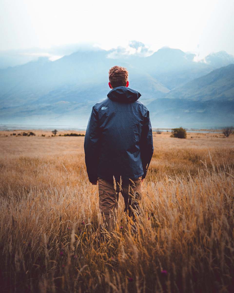 person man in middle of wheat field human