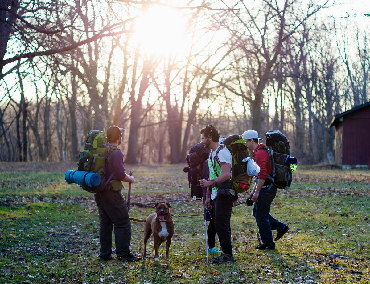 person men standing in the middle of forest nature
