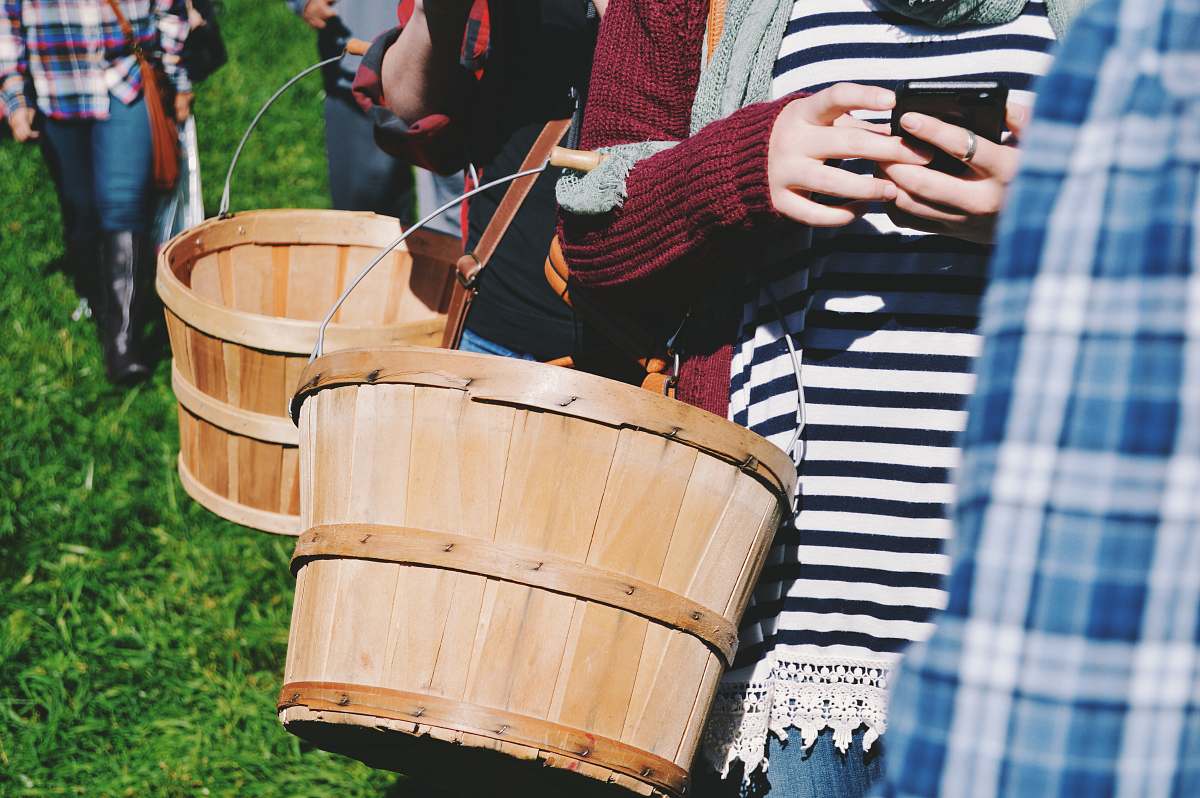 person two person fall in line while holding basket human