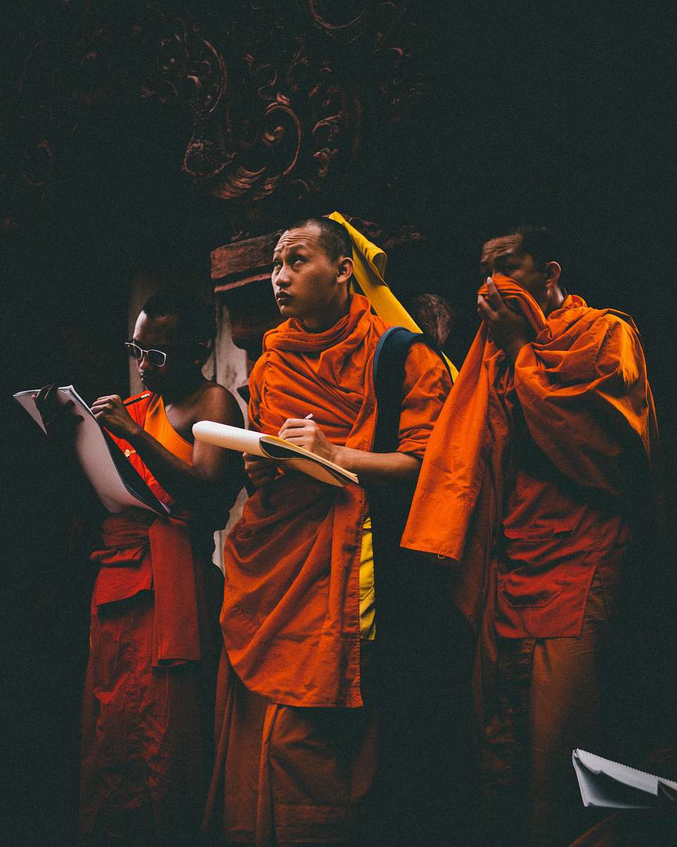 people men wearing orange tops human