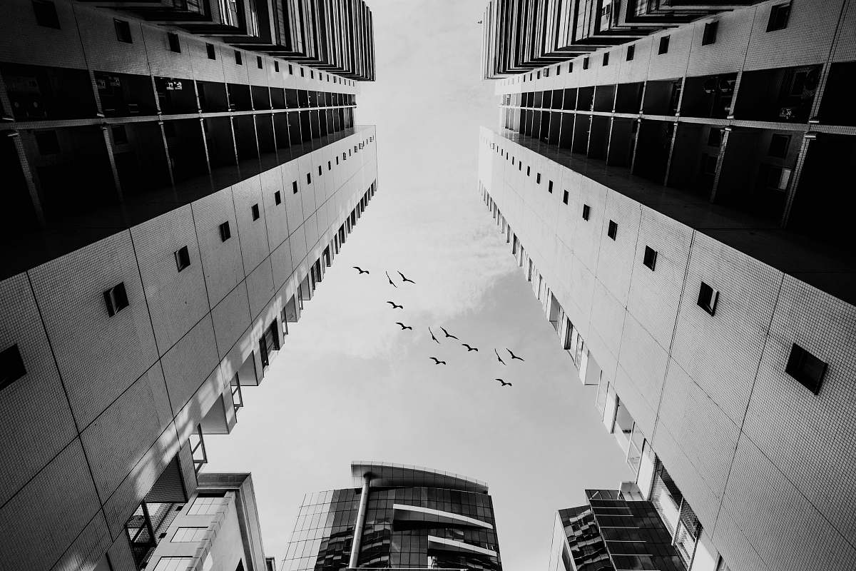grey  black-and-white