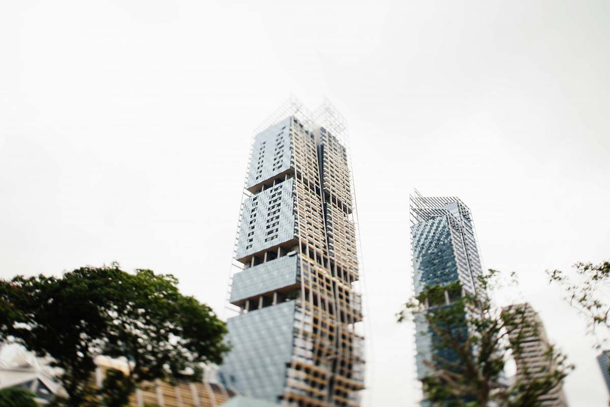 city building near tree high rise