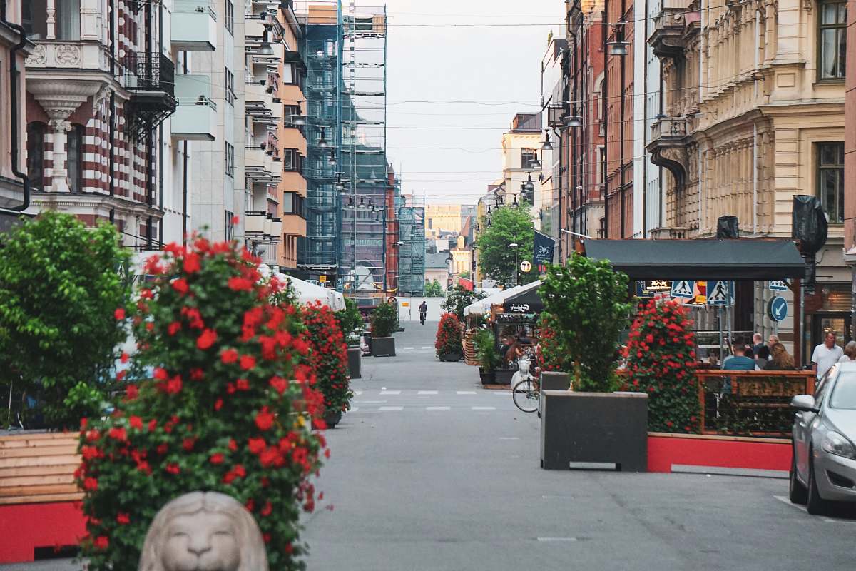 city cars parked beside flowers and buildings road