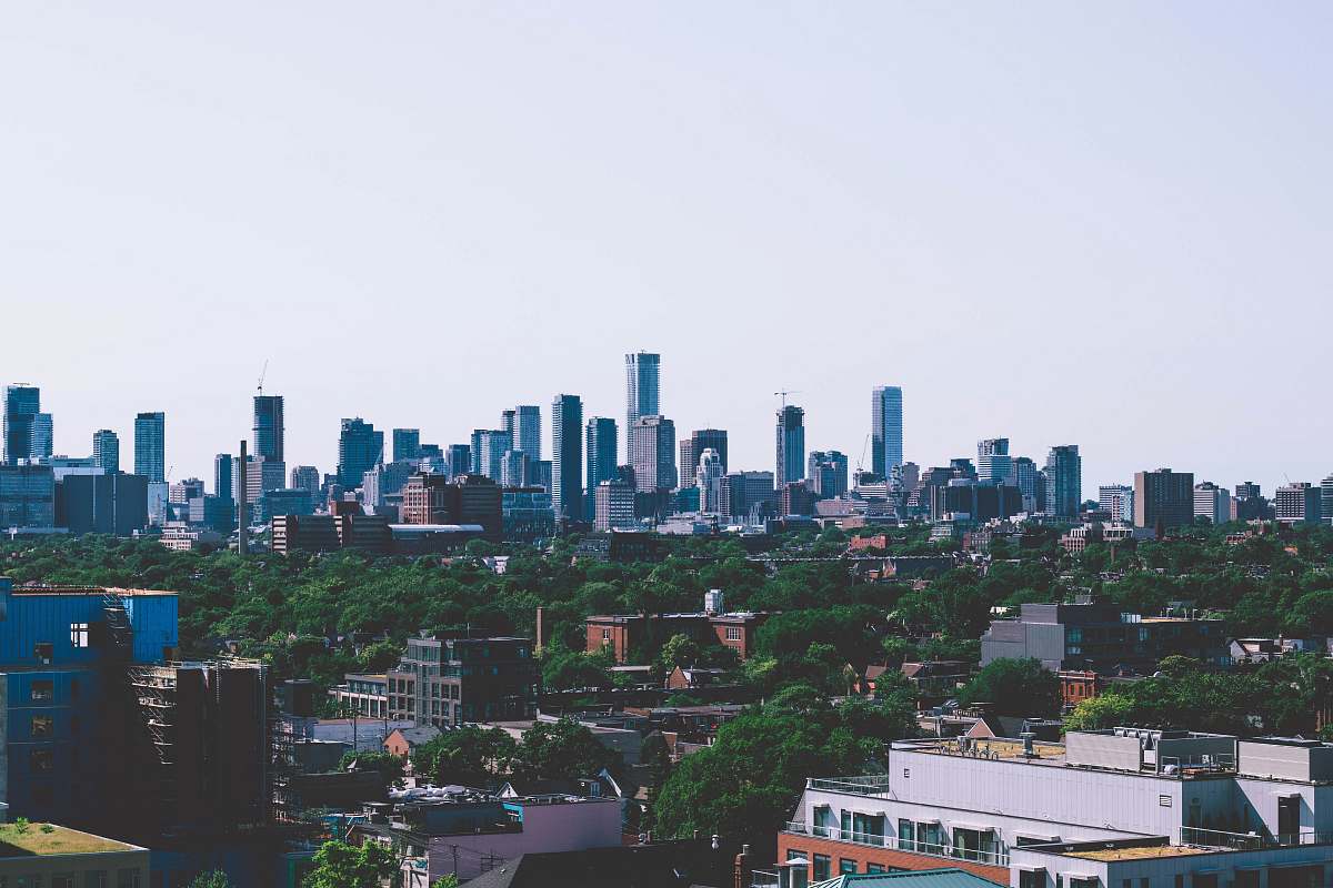 city city buildings near trees during daytime metropolis