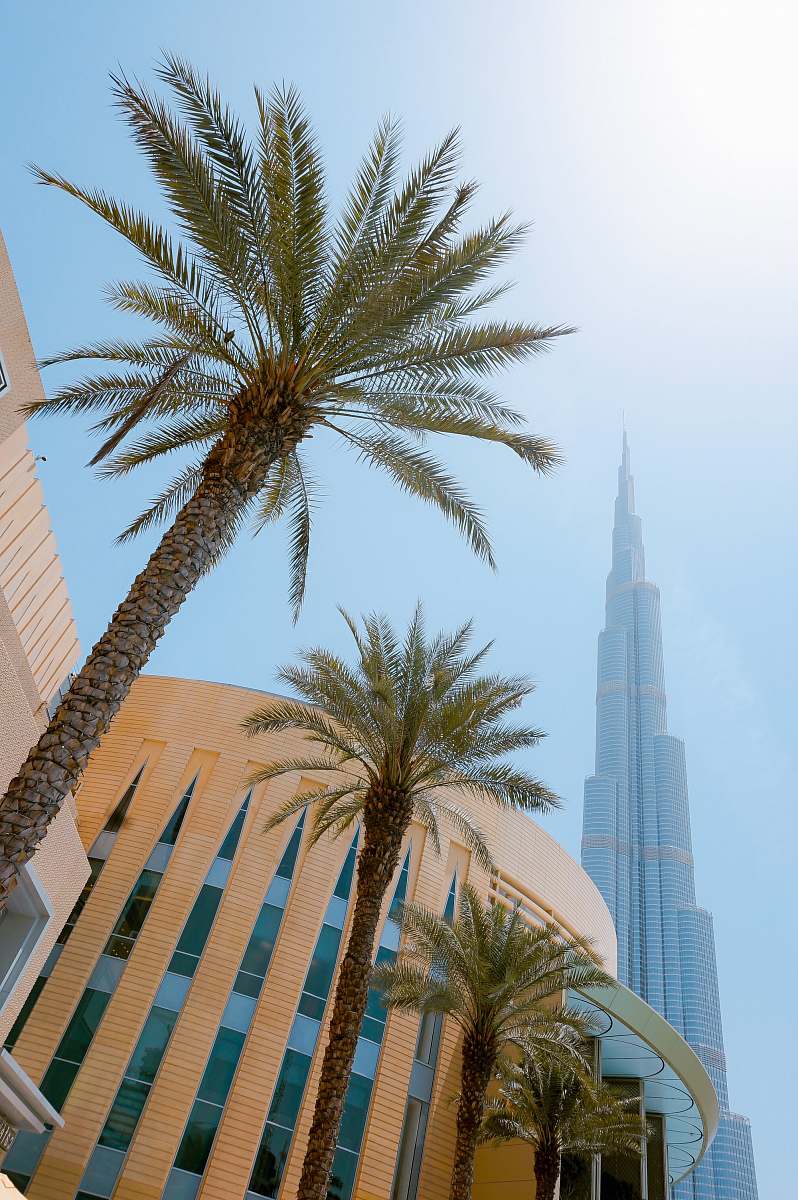 city green palm trees besides yellow building urban