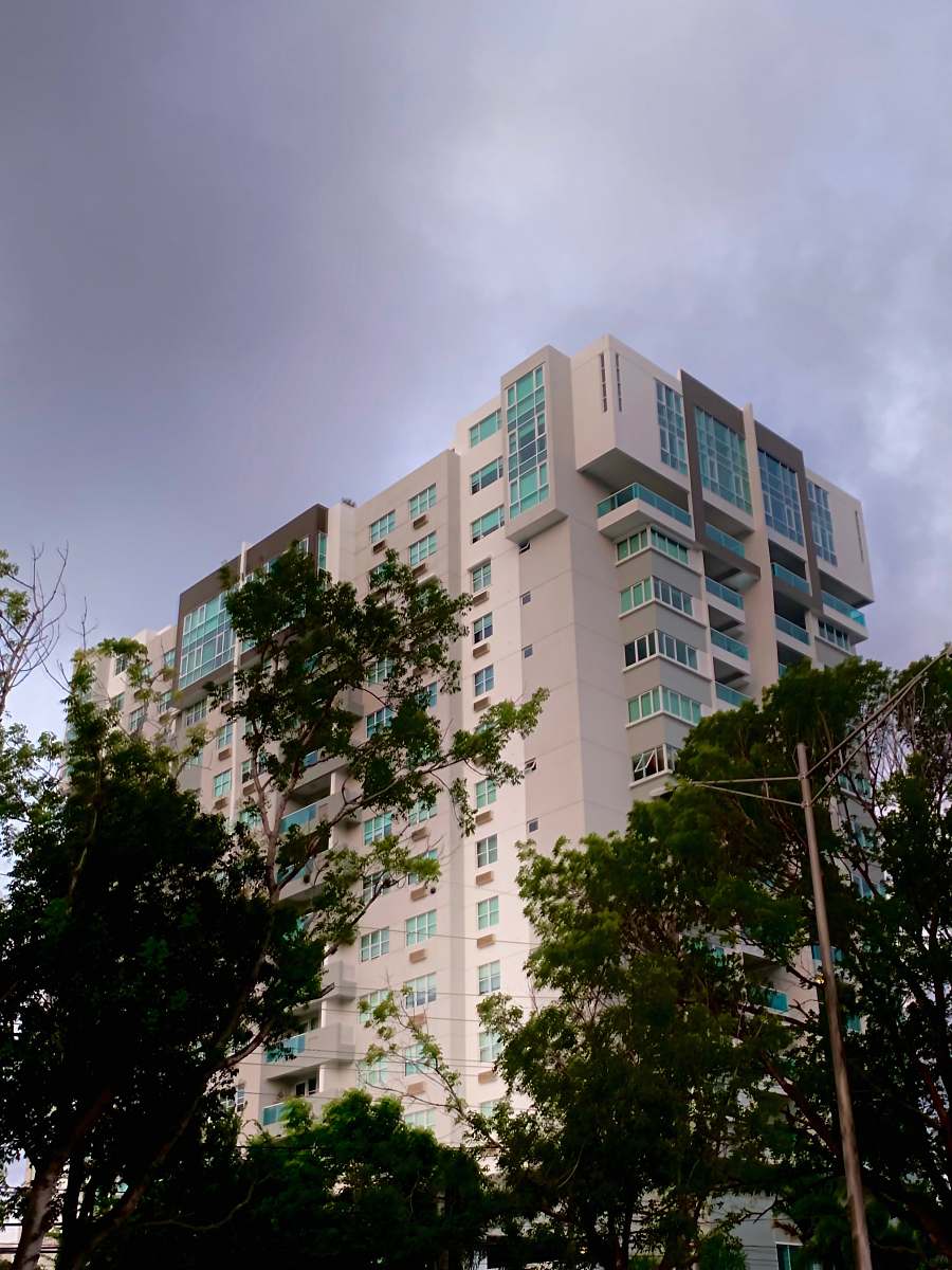city green trees high rise
