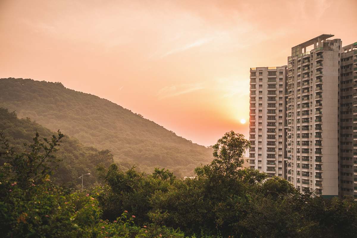 city green trees near buildings high rise